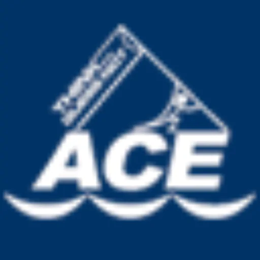 ACE Consult