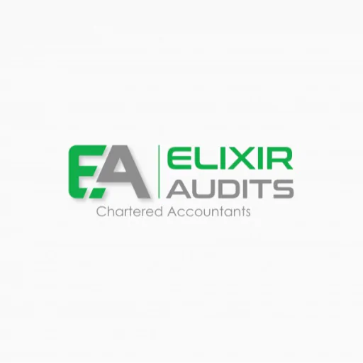 Elixir Audits